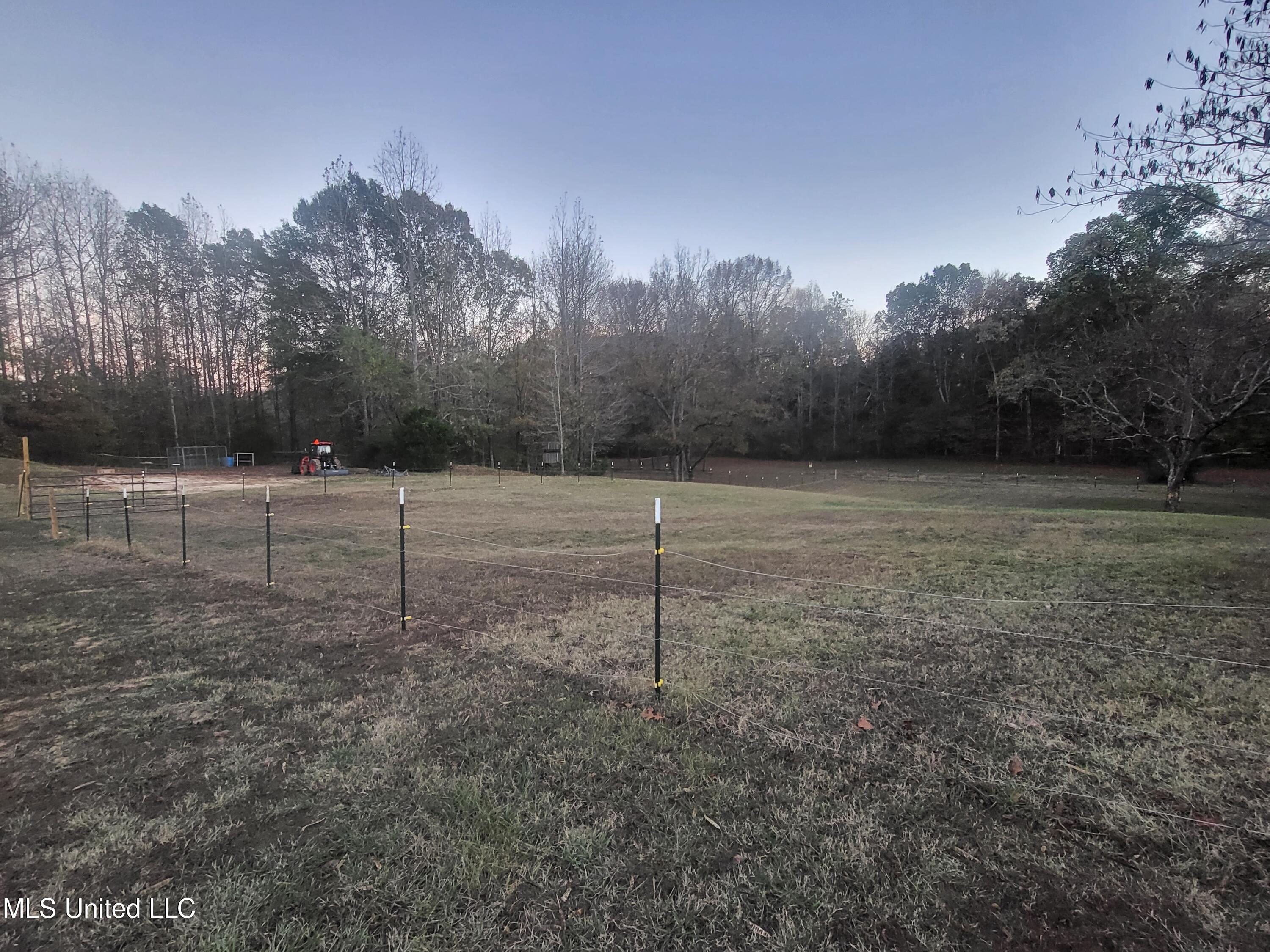 257 Jones Road Coldwater, MS 38618 - Photo 13 of 15 20221109_165955