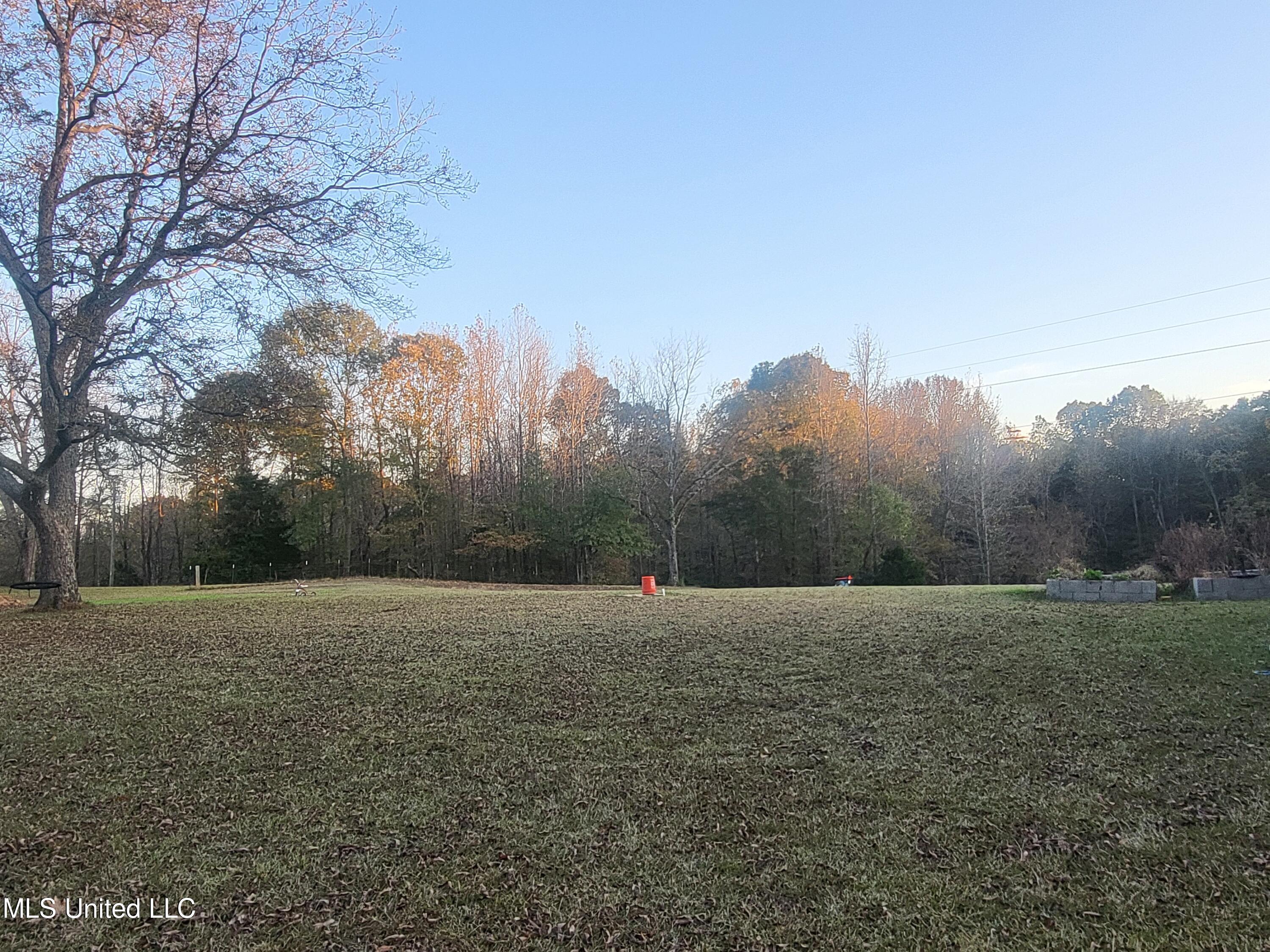 257 Jones Road Coldwater, MS 38618 - Photo 14 of 15 20221109_163515