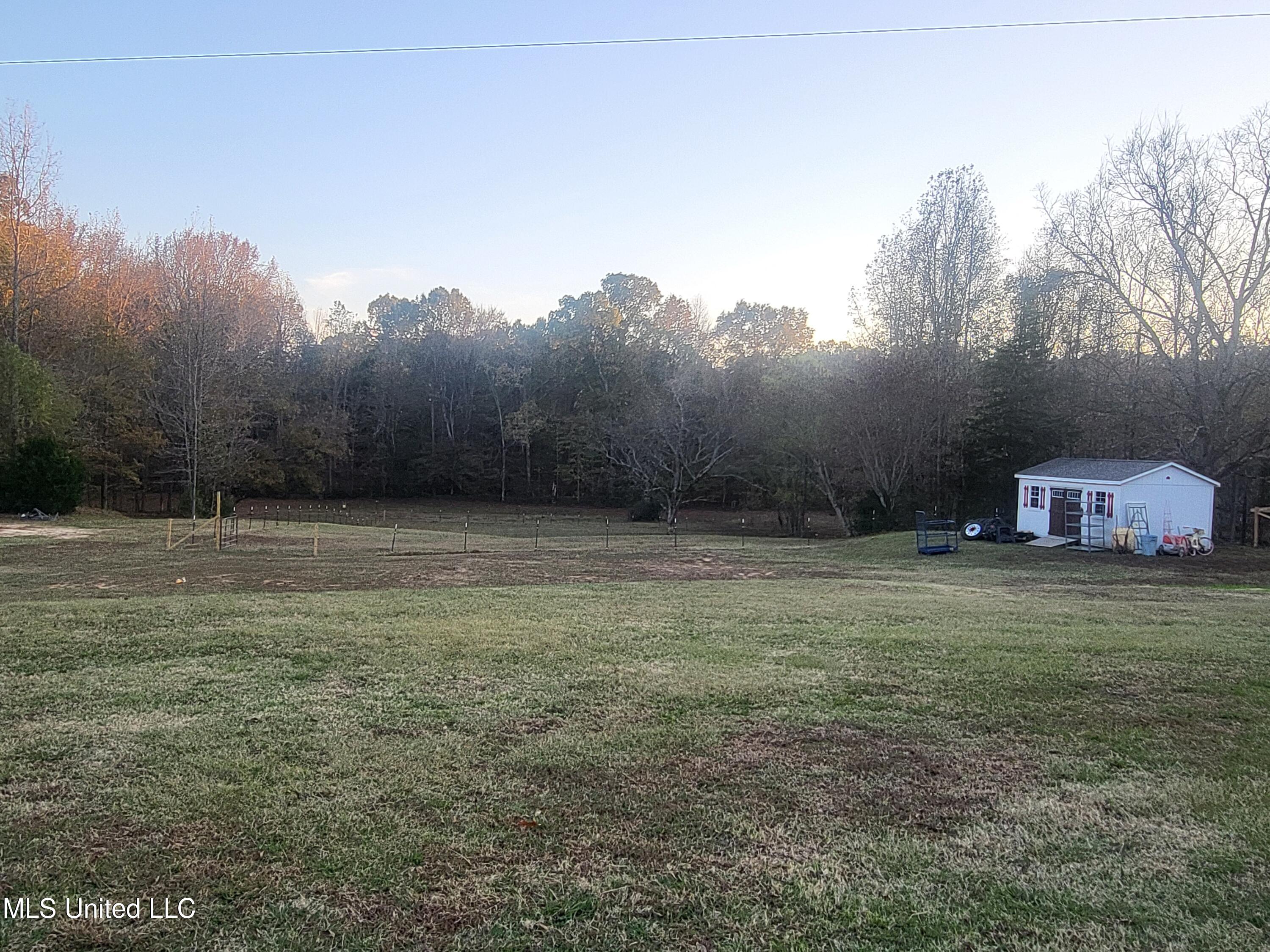 257 Jones Road Coldwater, MS 38618 - Photo 15 of 15 20221109_163605