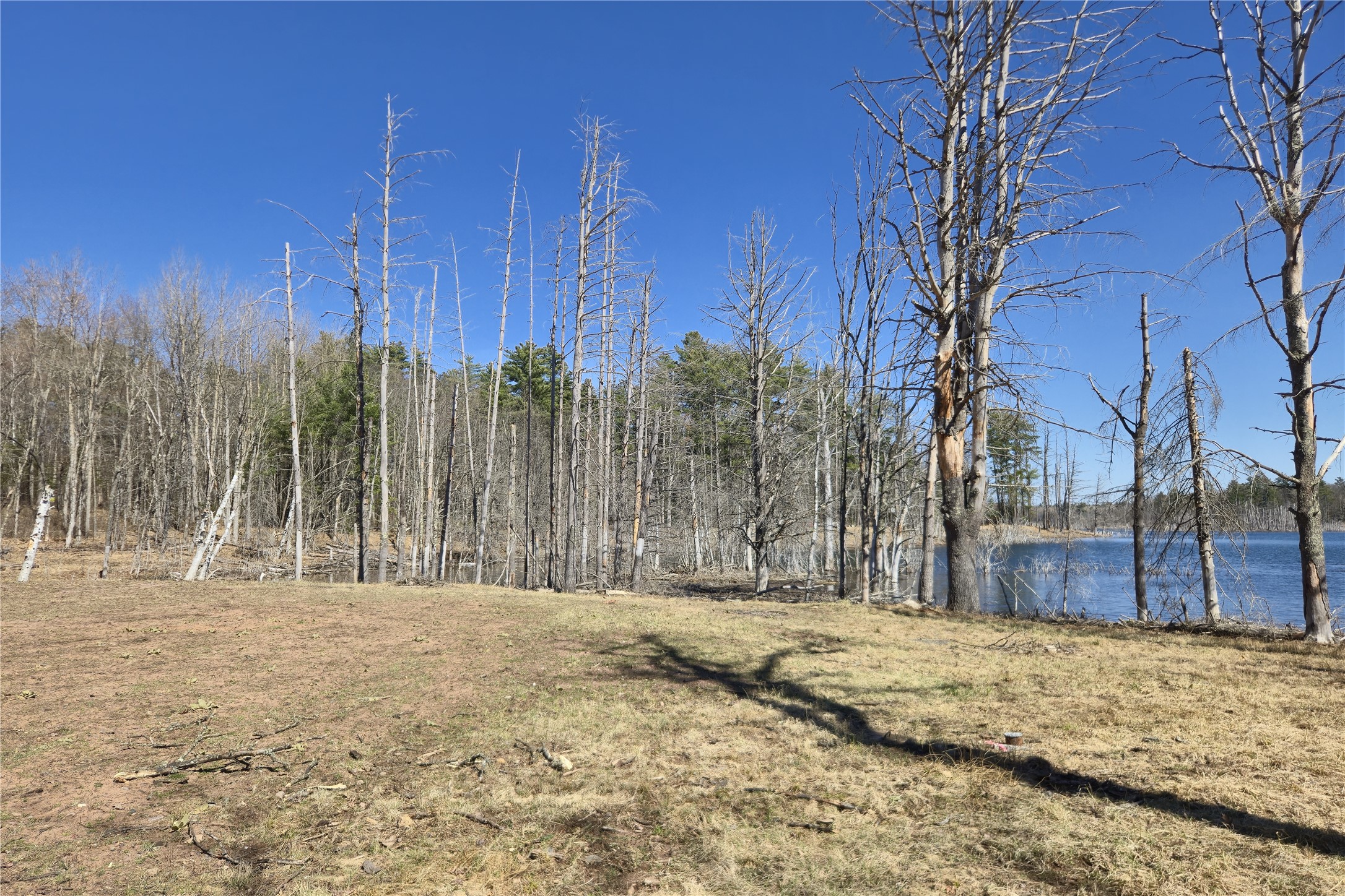 10355 Pine Road Drummond, WI 54832 - Photo 16 of 16