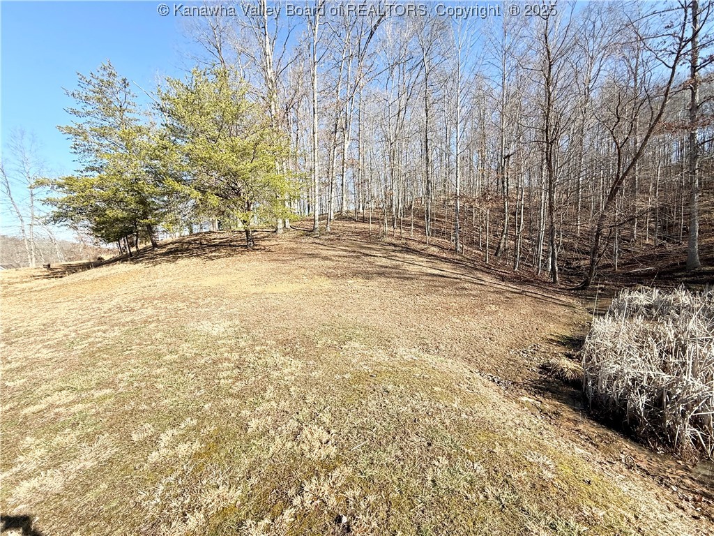 13 Tallwood Road Sod, WV 25564 - Photo 8 of 47 View