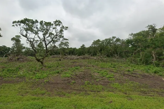 a view of a lush green forest with lots of trees