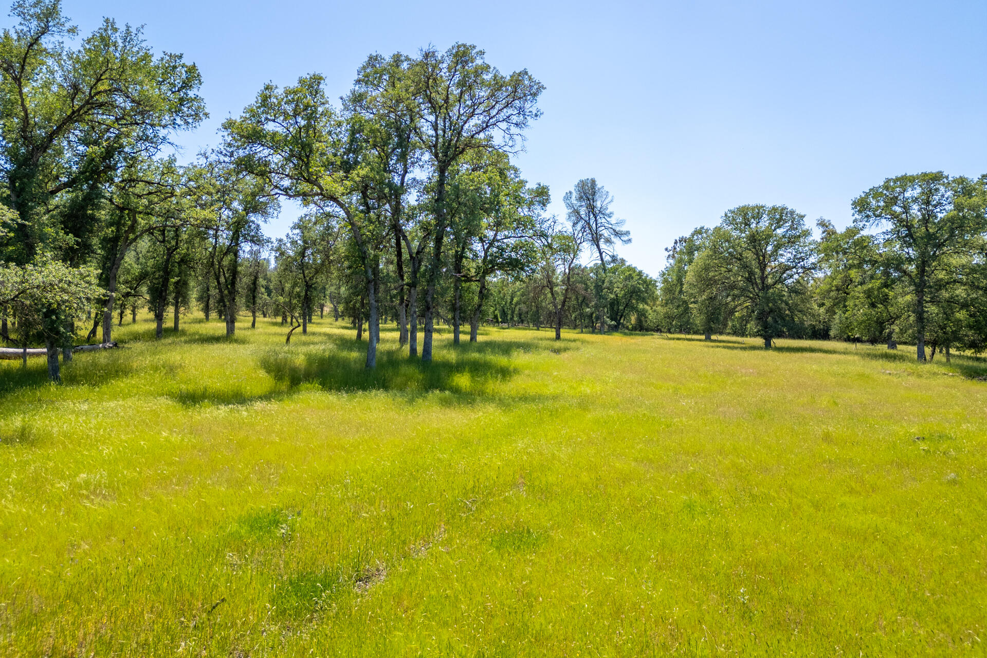 0 Racoon Way Oak Run, CA 96069 - Photo 39 of 39 Racoon030