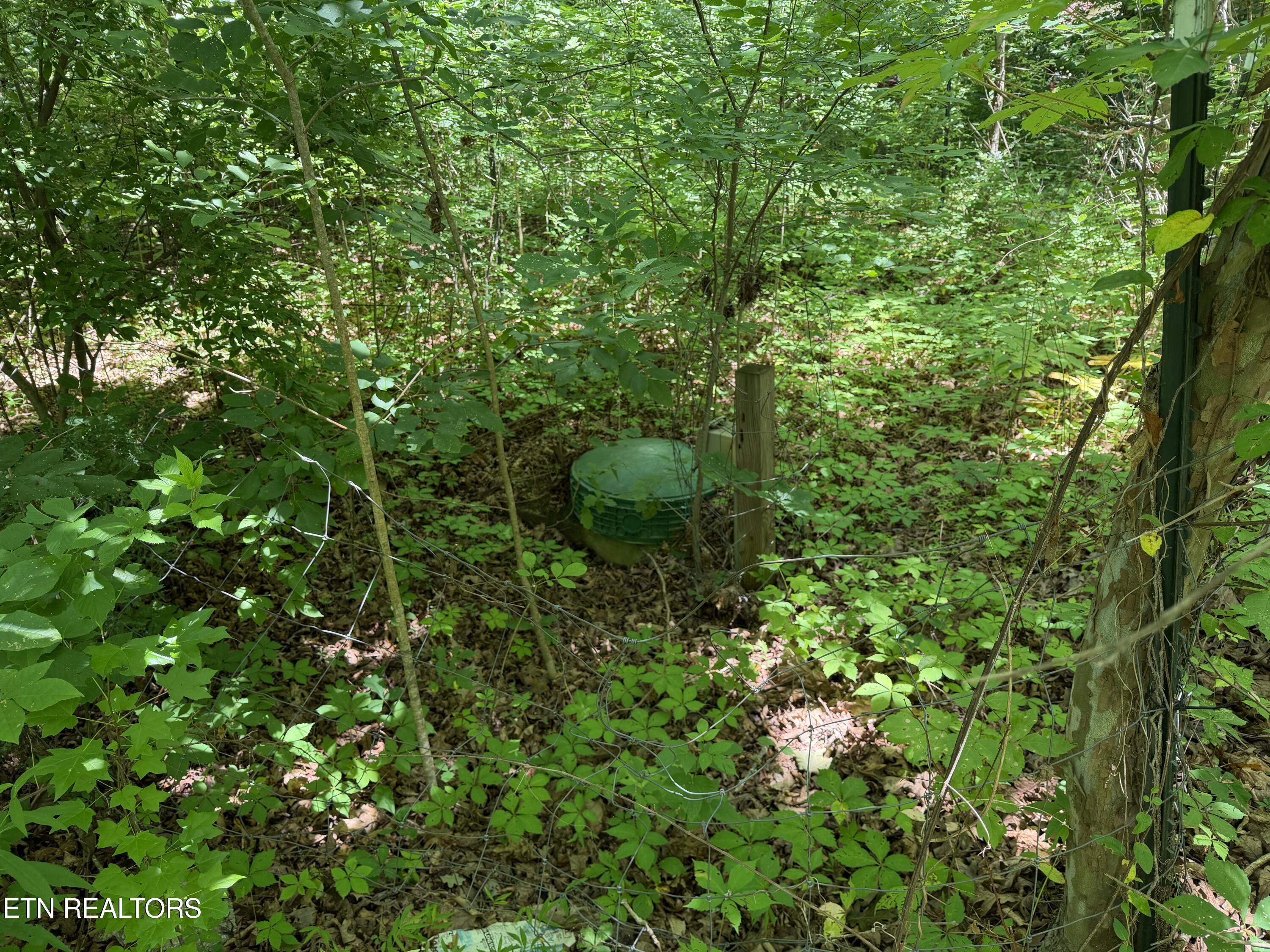 1919 Reagan Mill Road Maryville, TN 37803 - Photo 9 of 15 Septic Behind Homesite