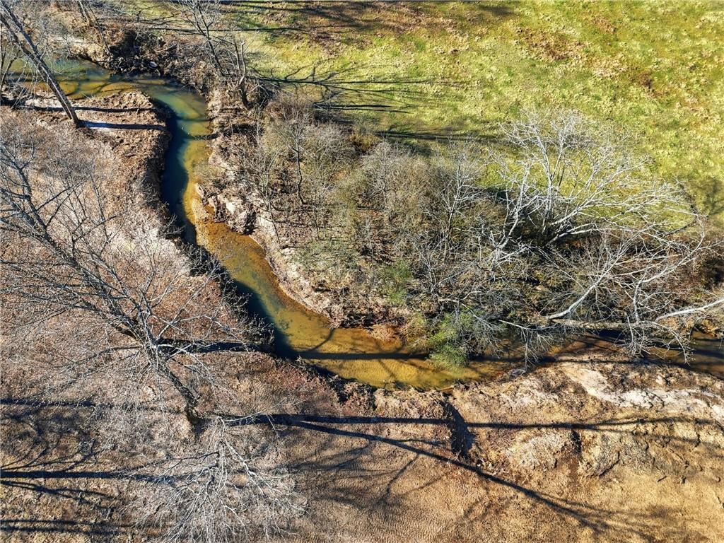 209 Horton Road Dahlonega, GA 30533 - Photo 9 of 42