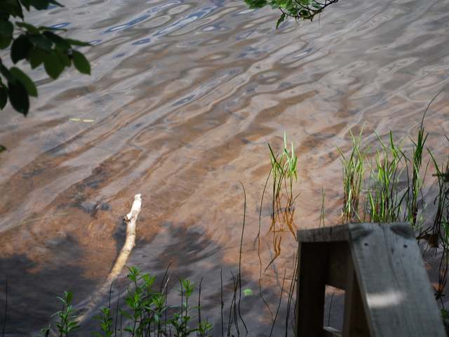 8008 Armour Lake Road Presque Isle, WI 54557 - Photo 2 of 10 Gallery Image 2