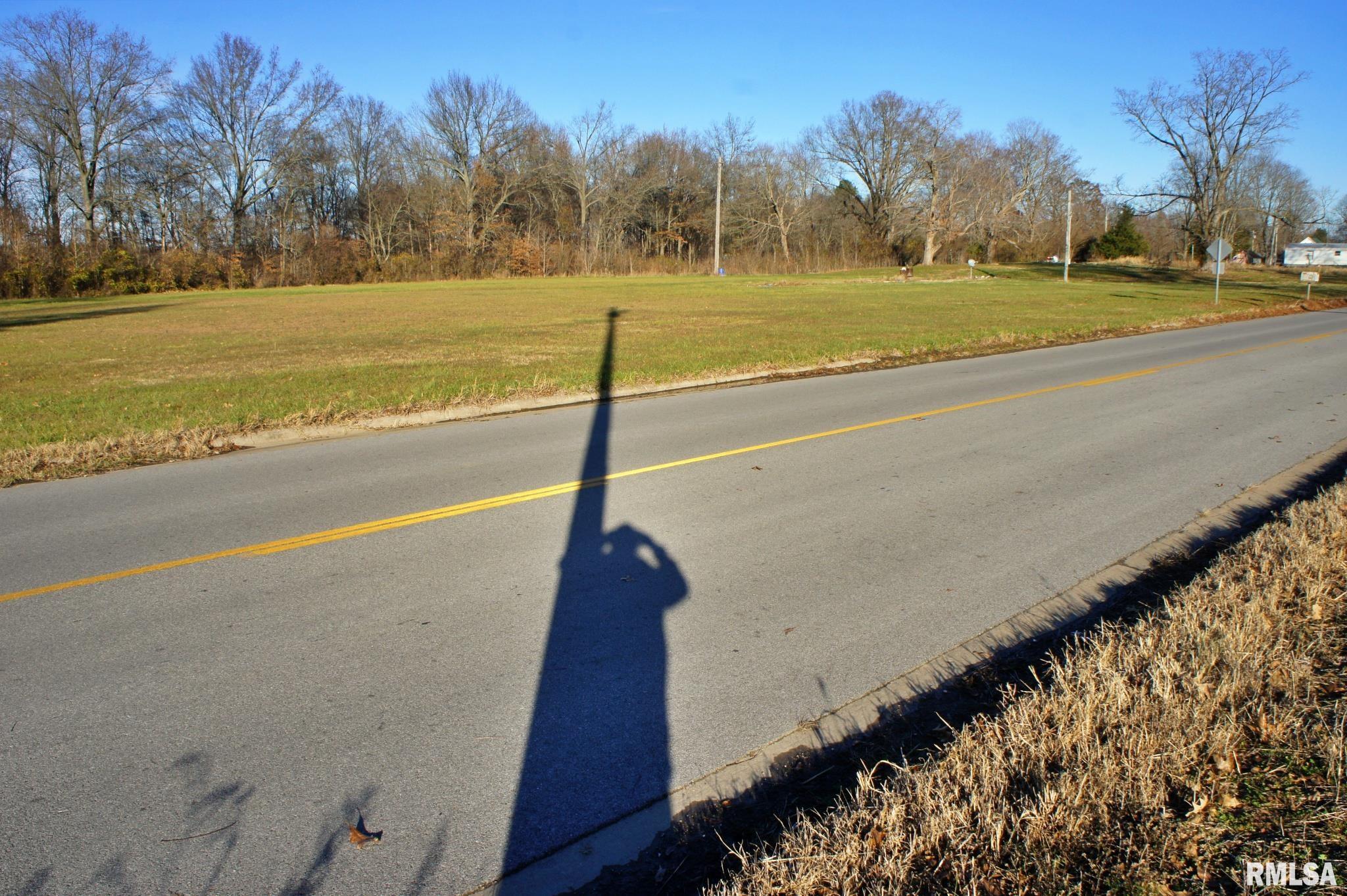 4393 Perks Road Ullin, IL 62992 - Photo 8 of 9