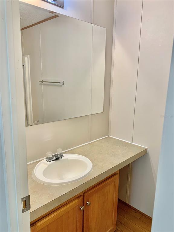 12752 Southeast 9th Place Gainesville, FL 32641 - Photo 31 of 53 a bathroom with a sink and a mirror