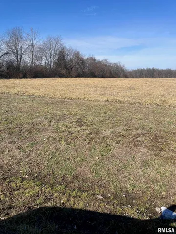 $420,000 | 17225 Akin Blacktop, Unit BLACKTOP, Benton, IL 62812