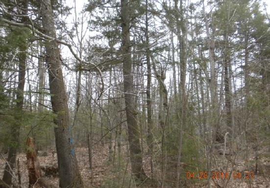 1037 Cape Road Limington, ME 04049 - Photo 18 of 21 Photo