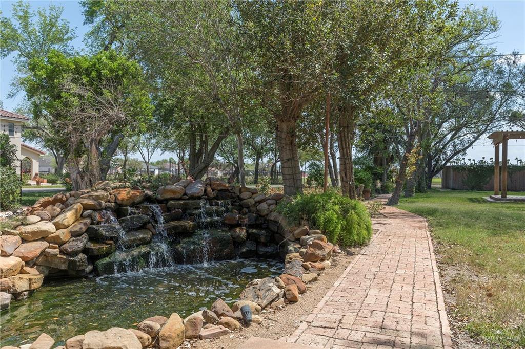605 South Hutto Road Donna, TX 78537 - Photo 28 of 45 The water feature attracts butterflies and birds.