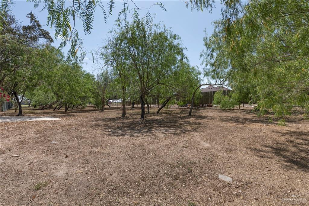 605 South Hutto Road Donna, TX 78537 - Photo 41 of 45 The property extends south of the venue. This area beautifully lined with mature mesquite trees can be developed in the future to expand the current Hummingbird Springs space.
