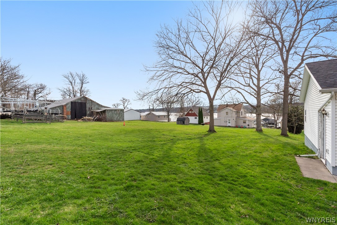 8 Walker Road Castile, NY 14530 - Photo 37 of 49 Back yard