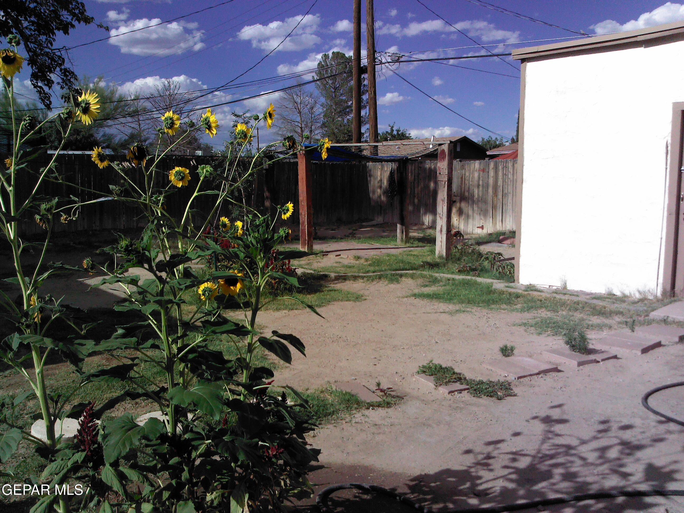 500 Tamarisk Street Anthony, TX 79821 - Photo 24 of 28 IMG_20081231_182734