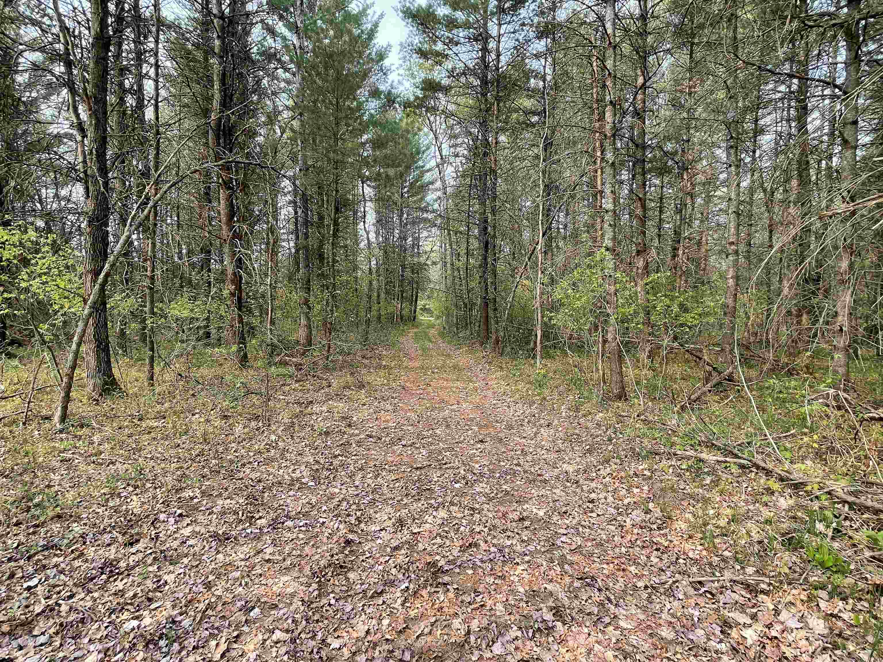 8433 South Grayling Road Roscommon, MI 48653 - Photo 9 of 21 1911302-8.JPG