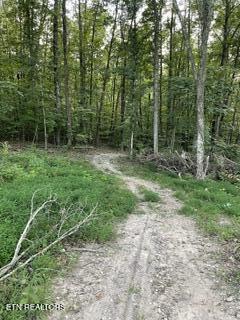 Wells Road Powell, TN 37849 - Photo 4 of 12 Wells Rd 6
