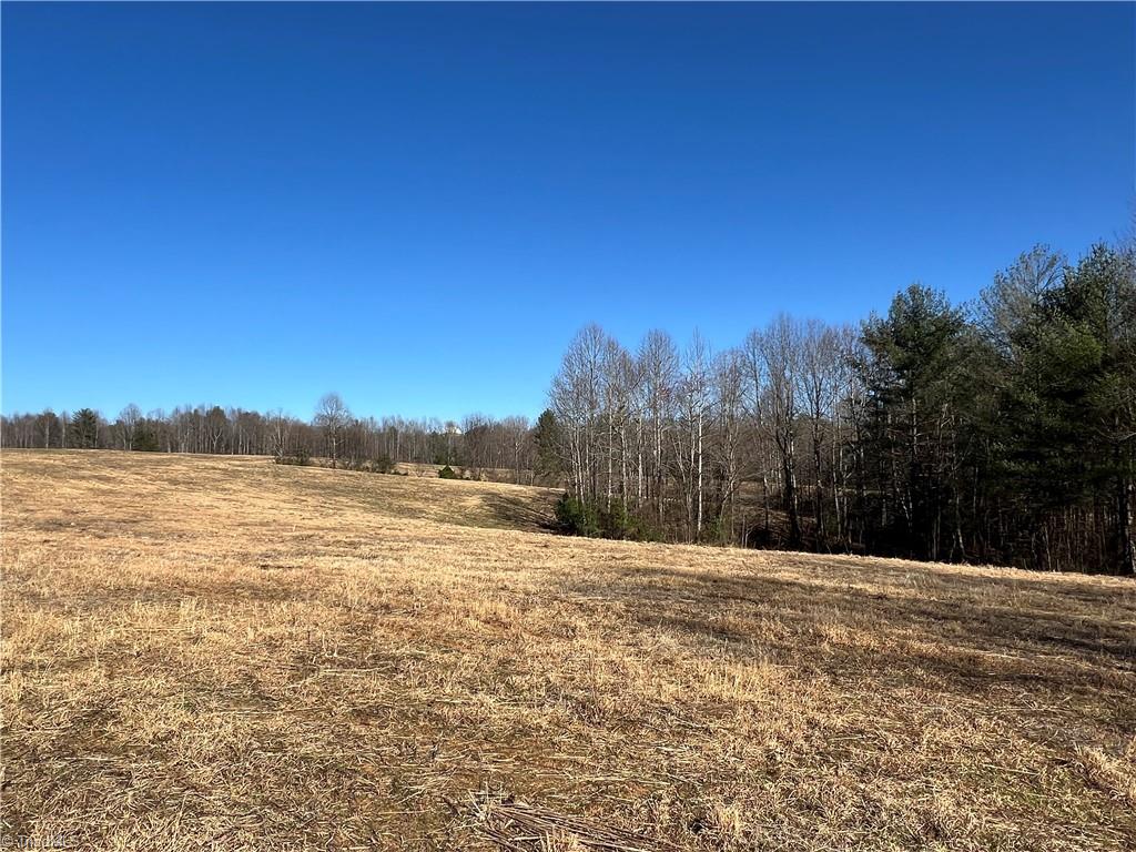 12-ac Cedar Ridge Road Mount Airy, NC 27030 - Photo 2 of 8 Gallery Image 2