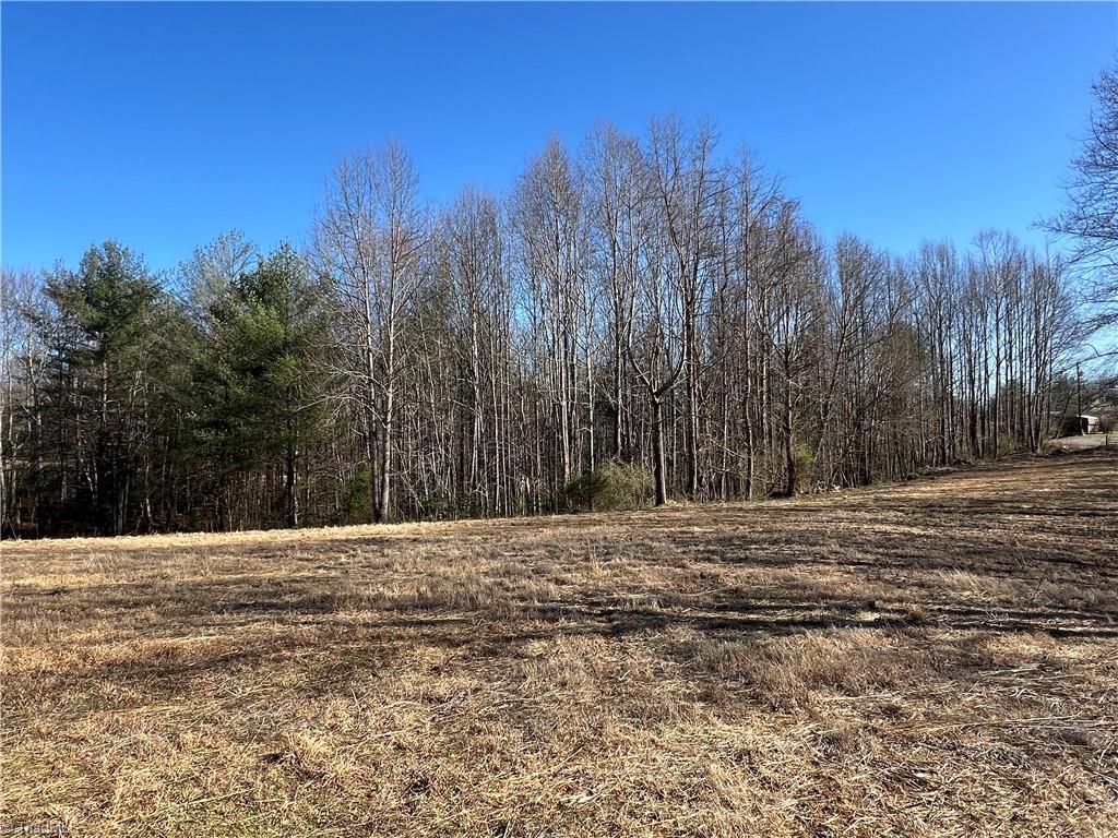 12-ac Cedar Ridge Road Mount Airy, NC 27030 - Photo 4 of 8 Gallery Image 4