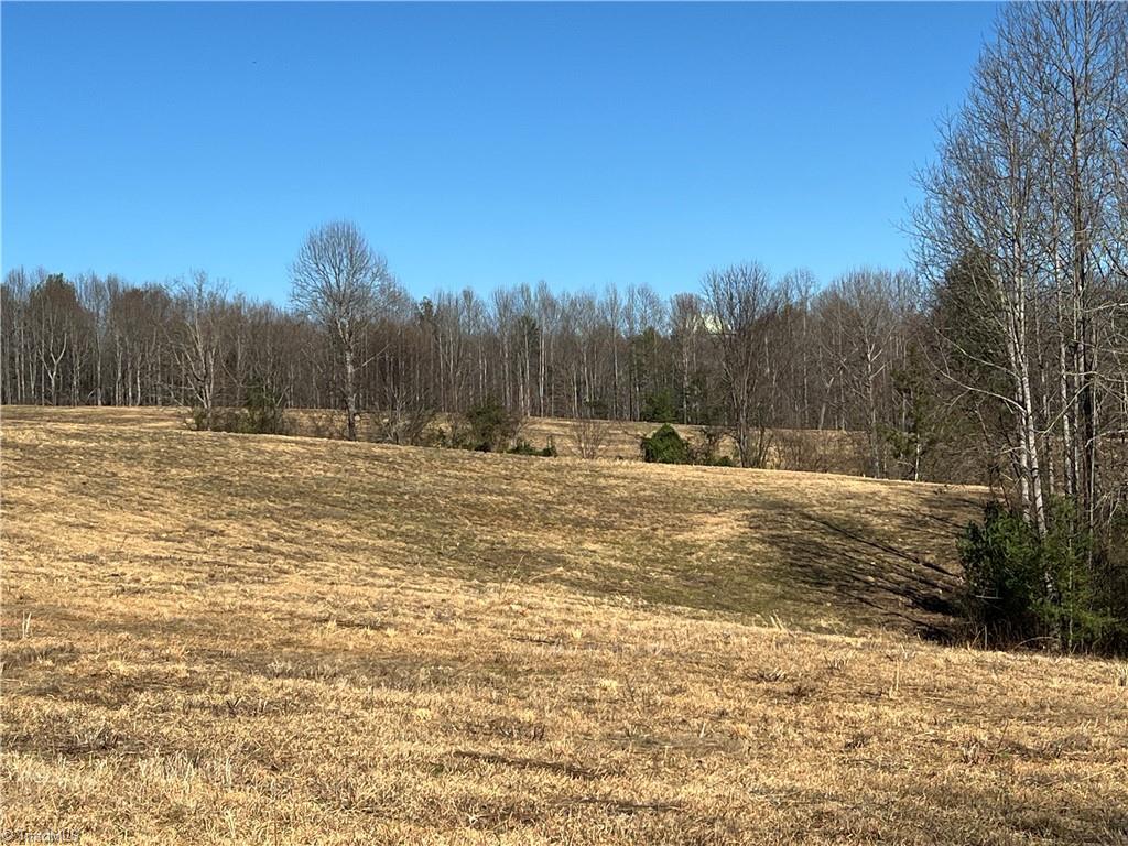 12-ac Cedar Ridge Road Mount Airy, NC 27030 - Photo 5 of 8 Gallery Image 5