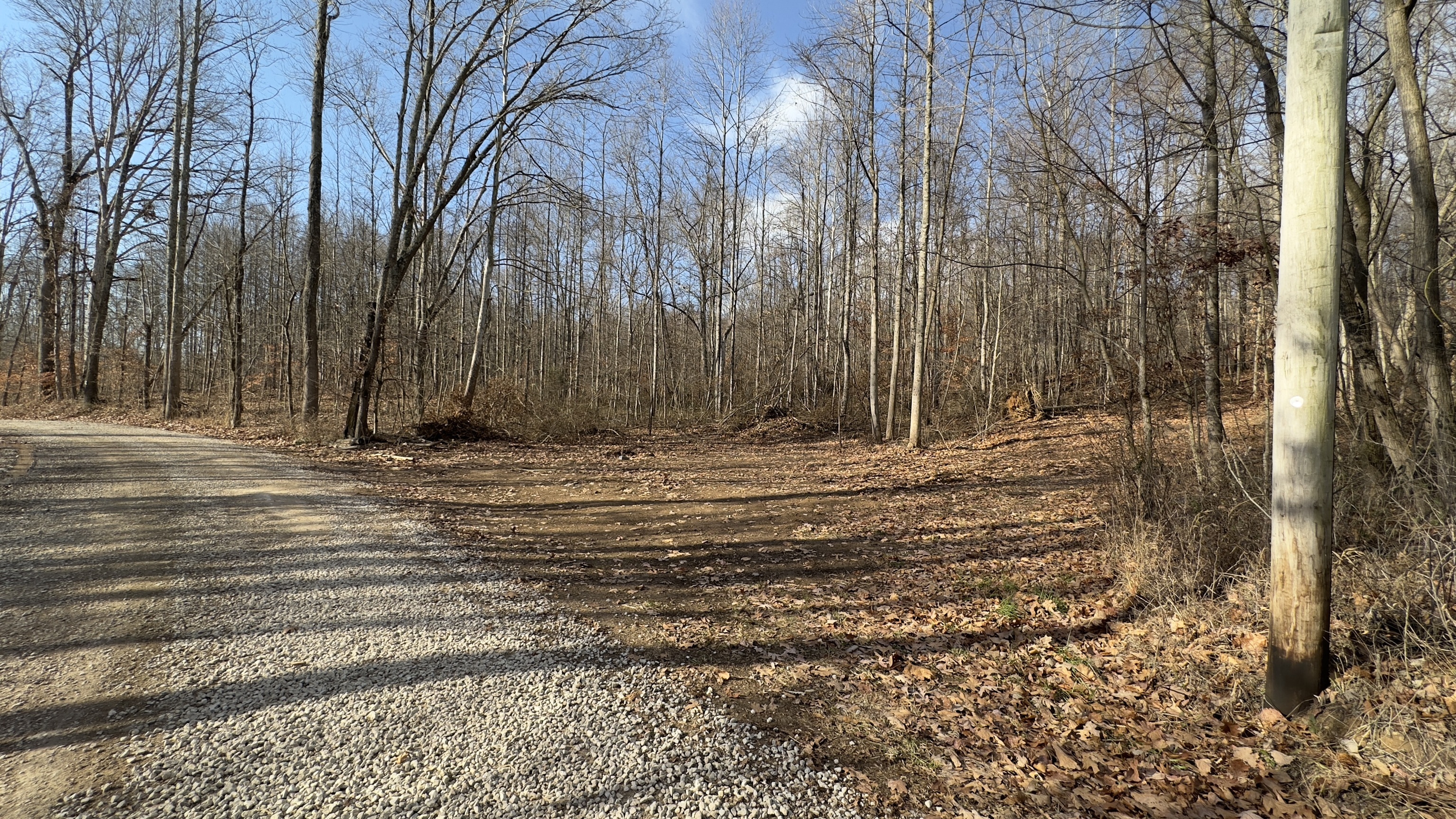 1 Camp Branch Road Solsberry, IN 47459 - Photo 4 of 8