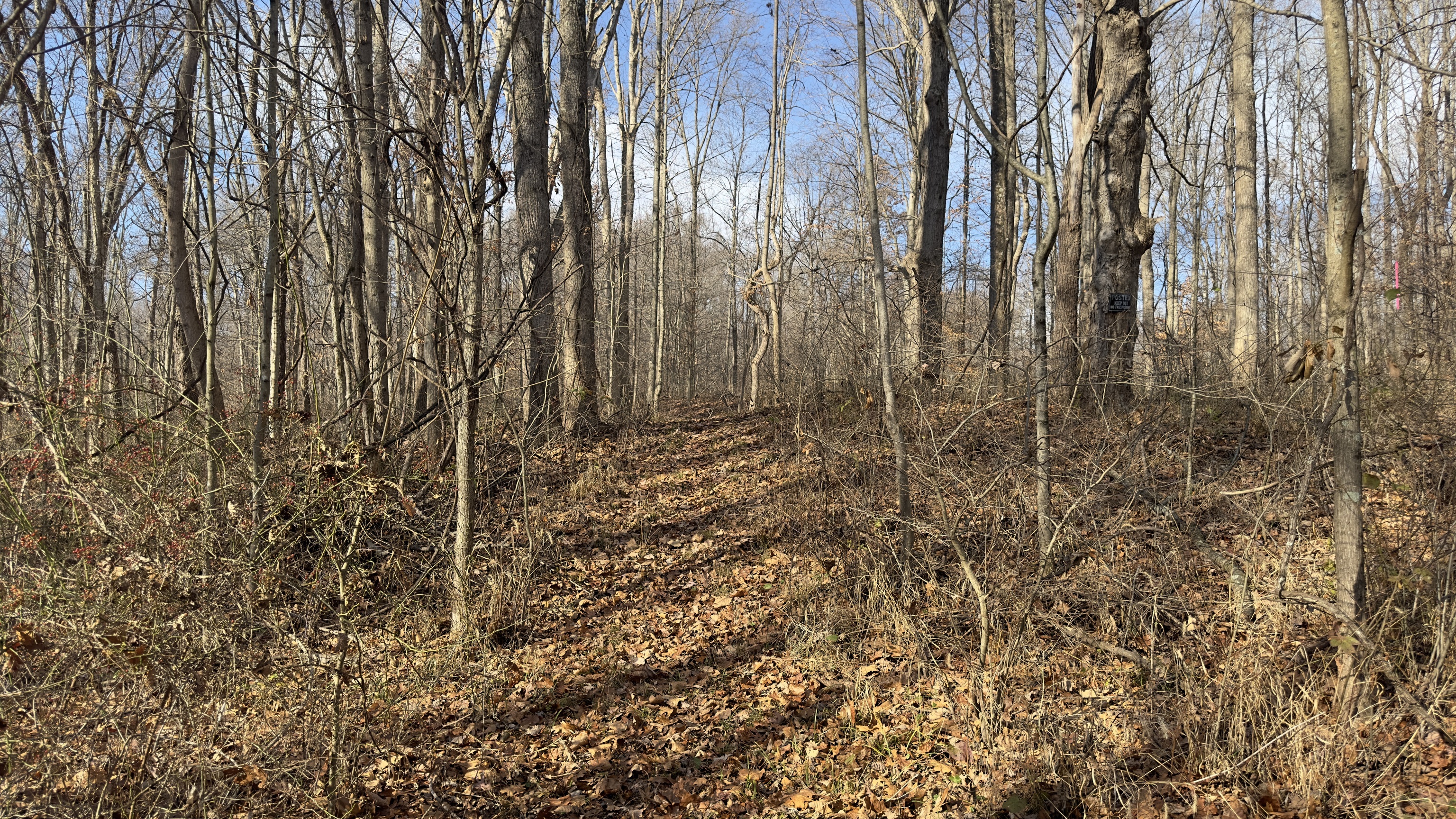 1 Camp Branch Road Solsberry, IN 47459 - Photo 5 of 8