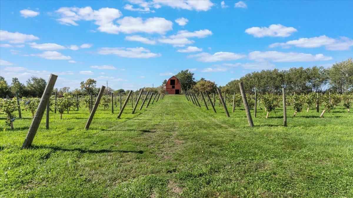 19334 105th Avenue Milaca, MN 56353 - Photo 57 of 74