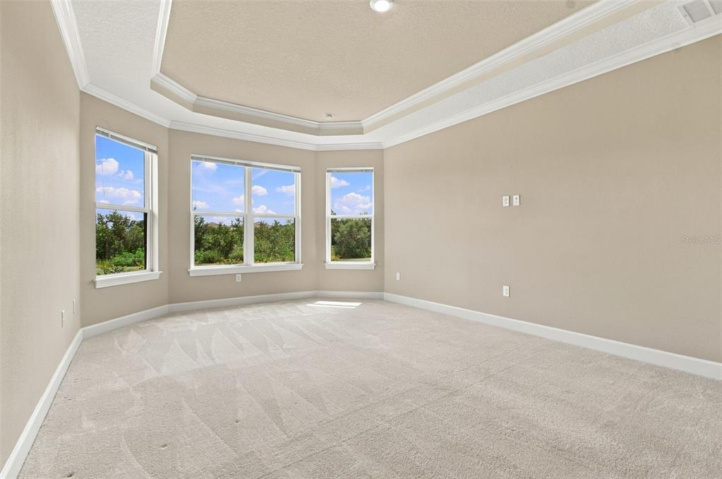 4798 Rosatti Road Wesley Chapel, FL 33543 - Photo 26 of 99 Gallery Image 26