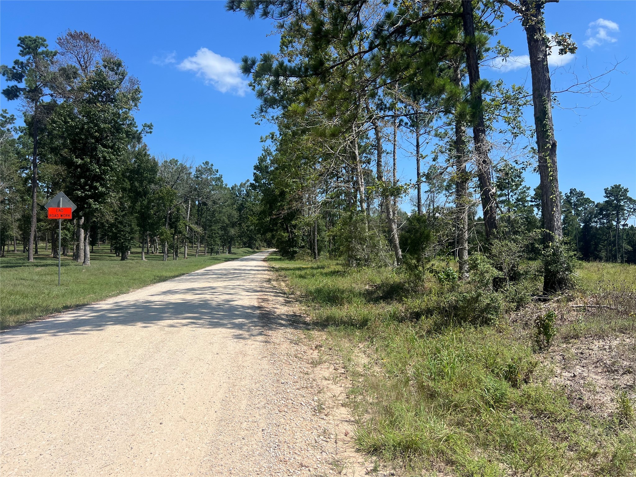 3 3152nd Road Livingston, TX 77351 - Photo 14 of 17 a view of a tree with a yard