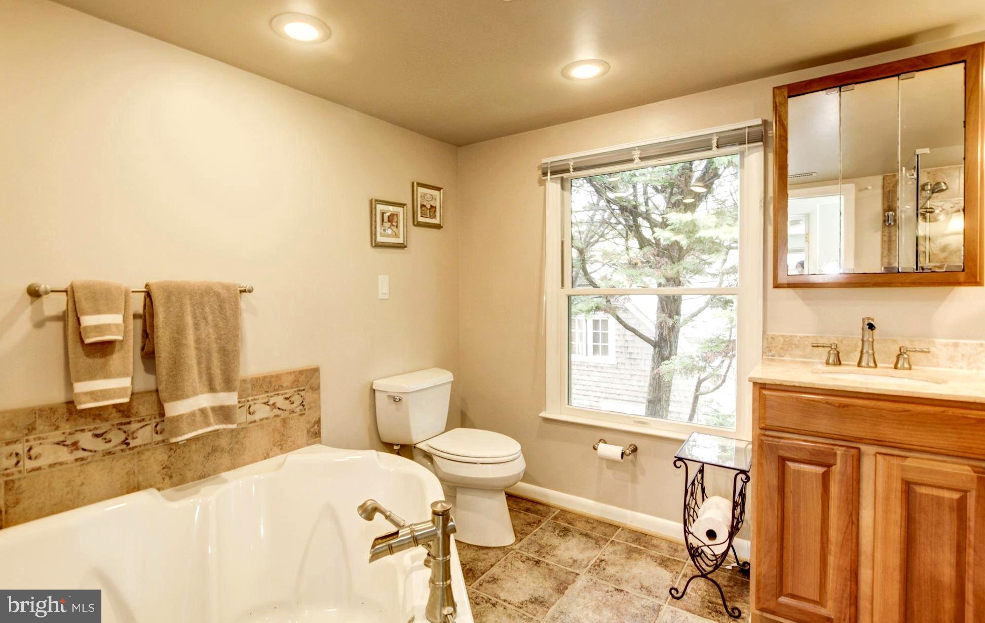 673 Red Cedar Road Annapolis, MD 21409 - Photo 21 of 46 Tuscan Tile Master Bath with Spa Soaking Tub