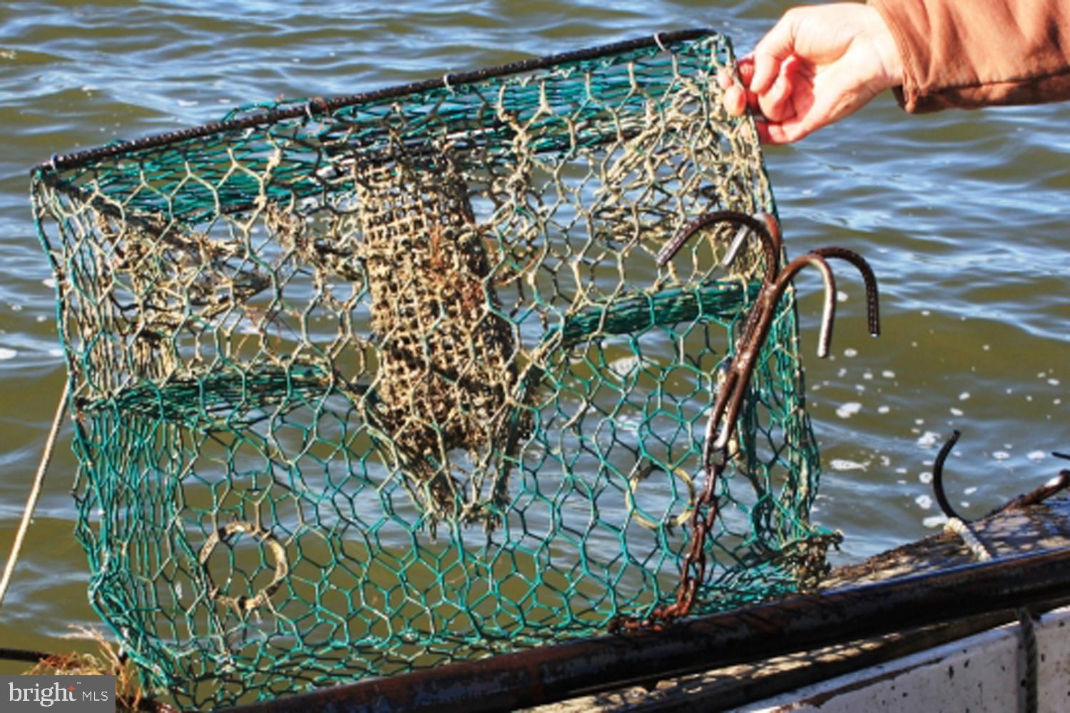 673 Red Cedar Road Annapolis, MD 21409 - Photo 40 of 46 Crab Pots Convey!