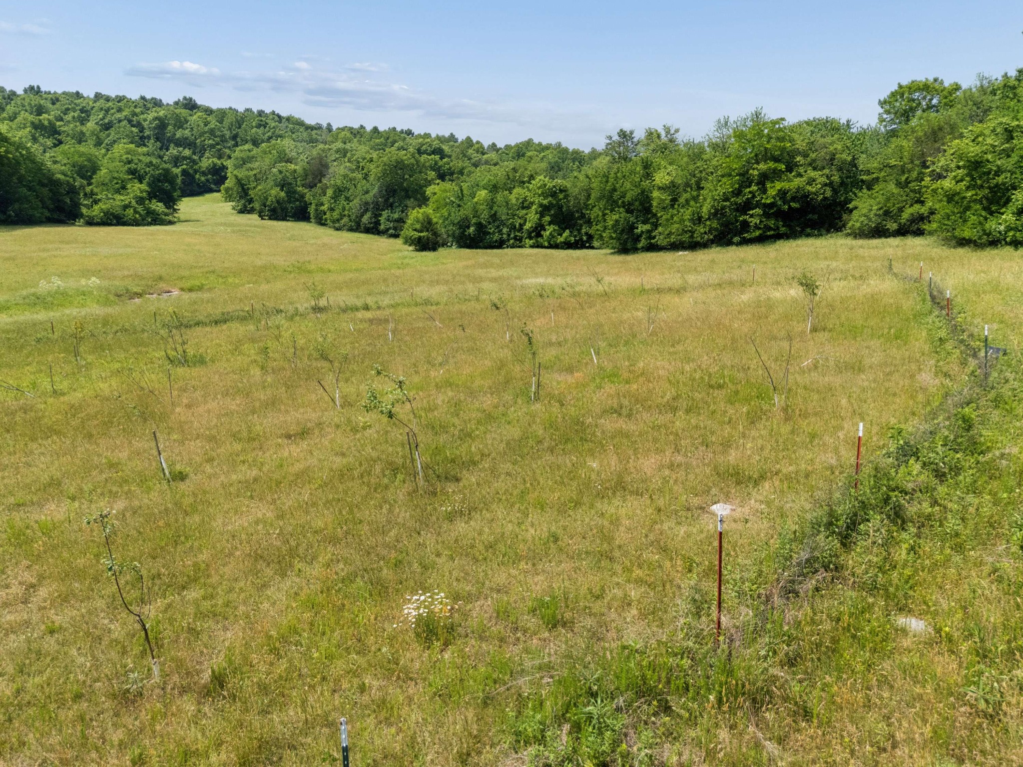 2063 Kennedy Creek Road Auburntown, TN 37016 - Photo 78 of 98