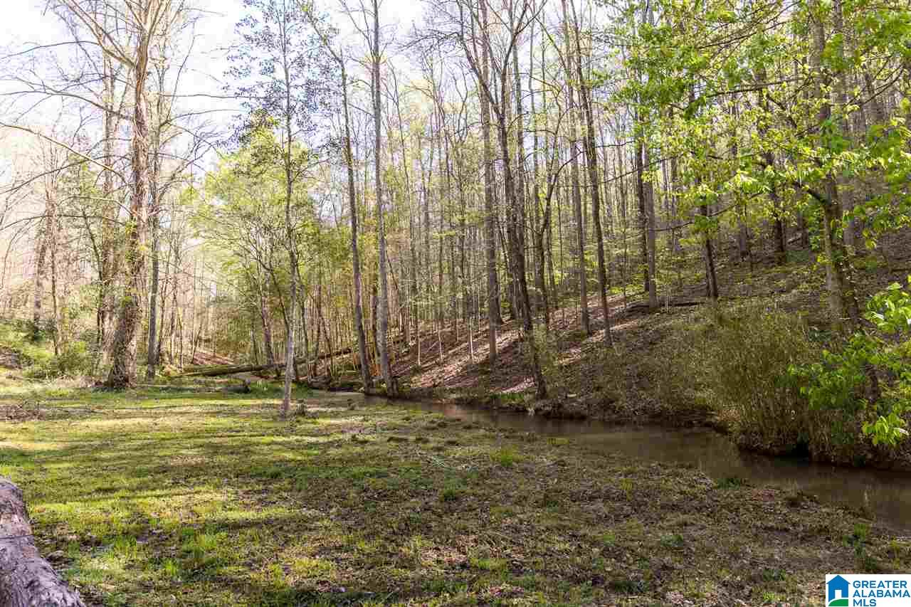8751 Clayton Cove Road Springville, AL 35146 - Photo 18 of 44