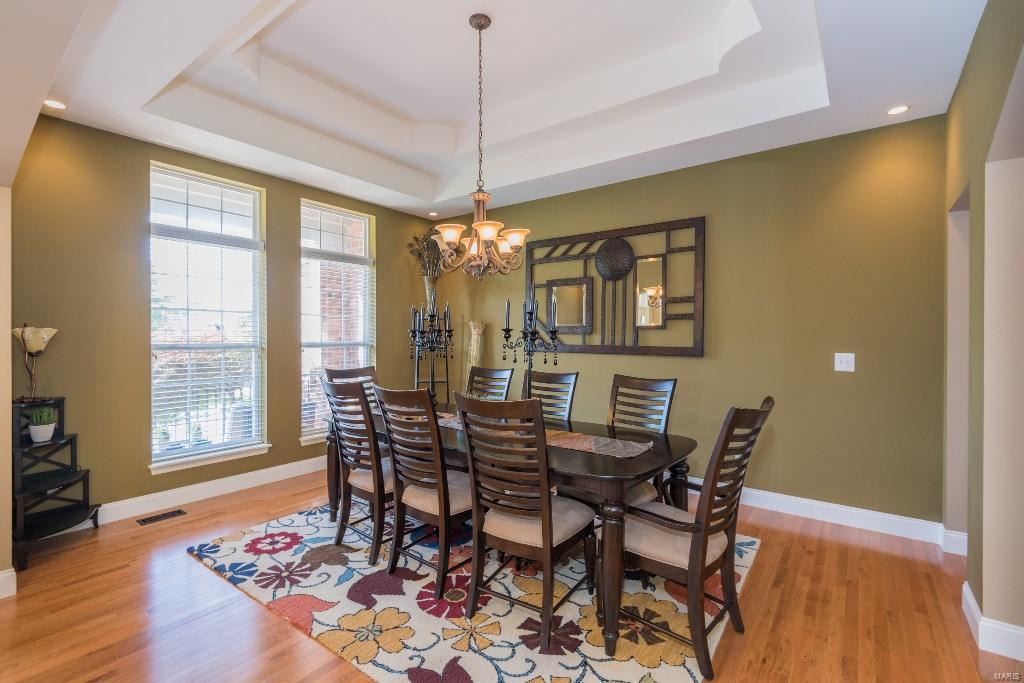 723 Castle Tower Drive Ballwin, MO 63021 - Photo 7 of 40
