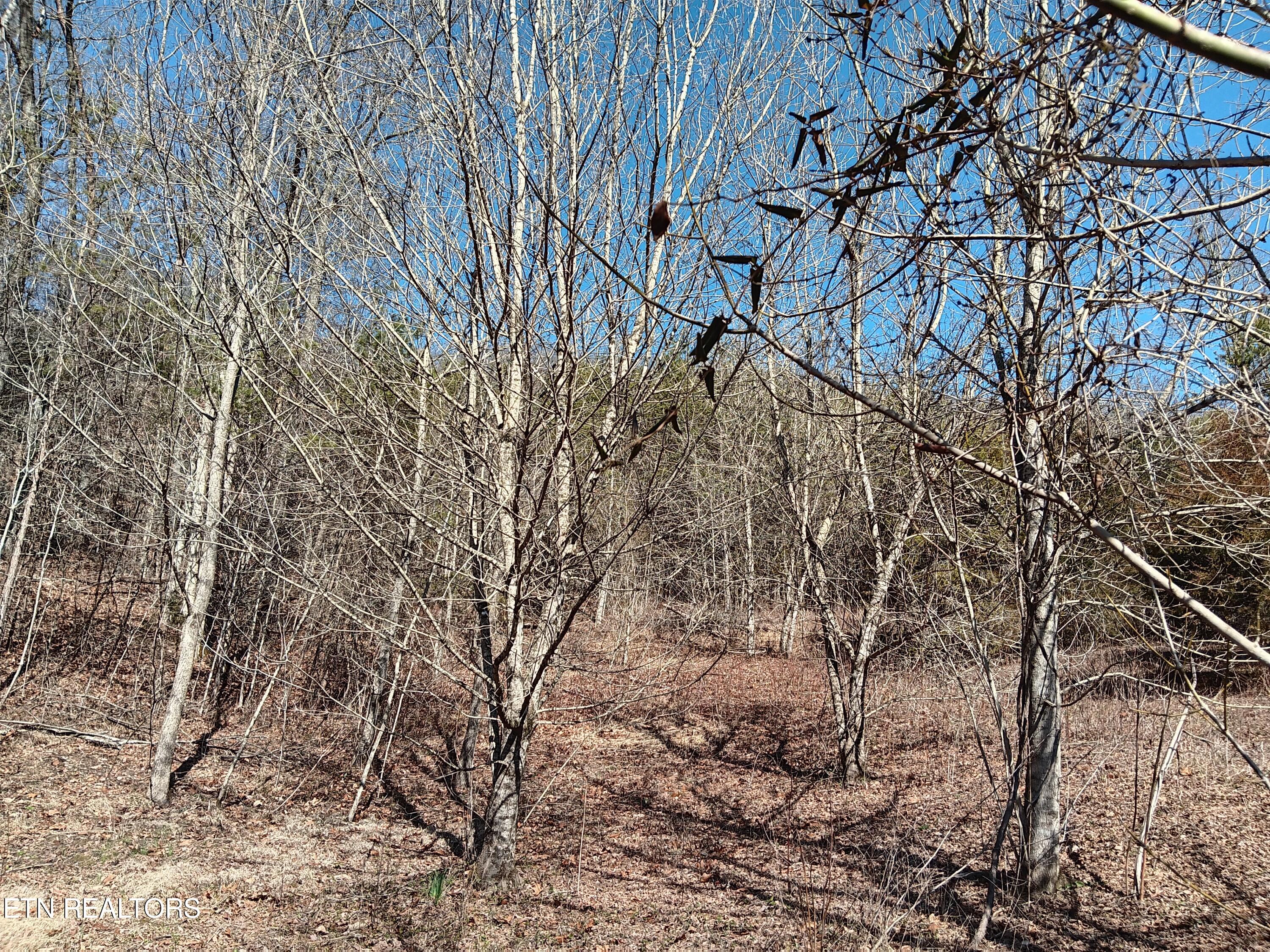 0 Cracker Neck Road Washburn, TN 37888 - Photo 3 of 19 20240225_104350