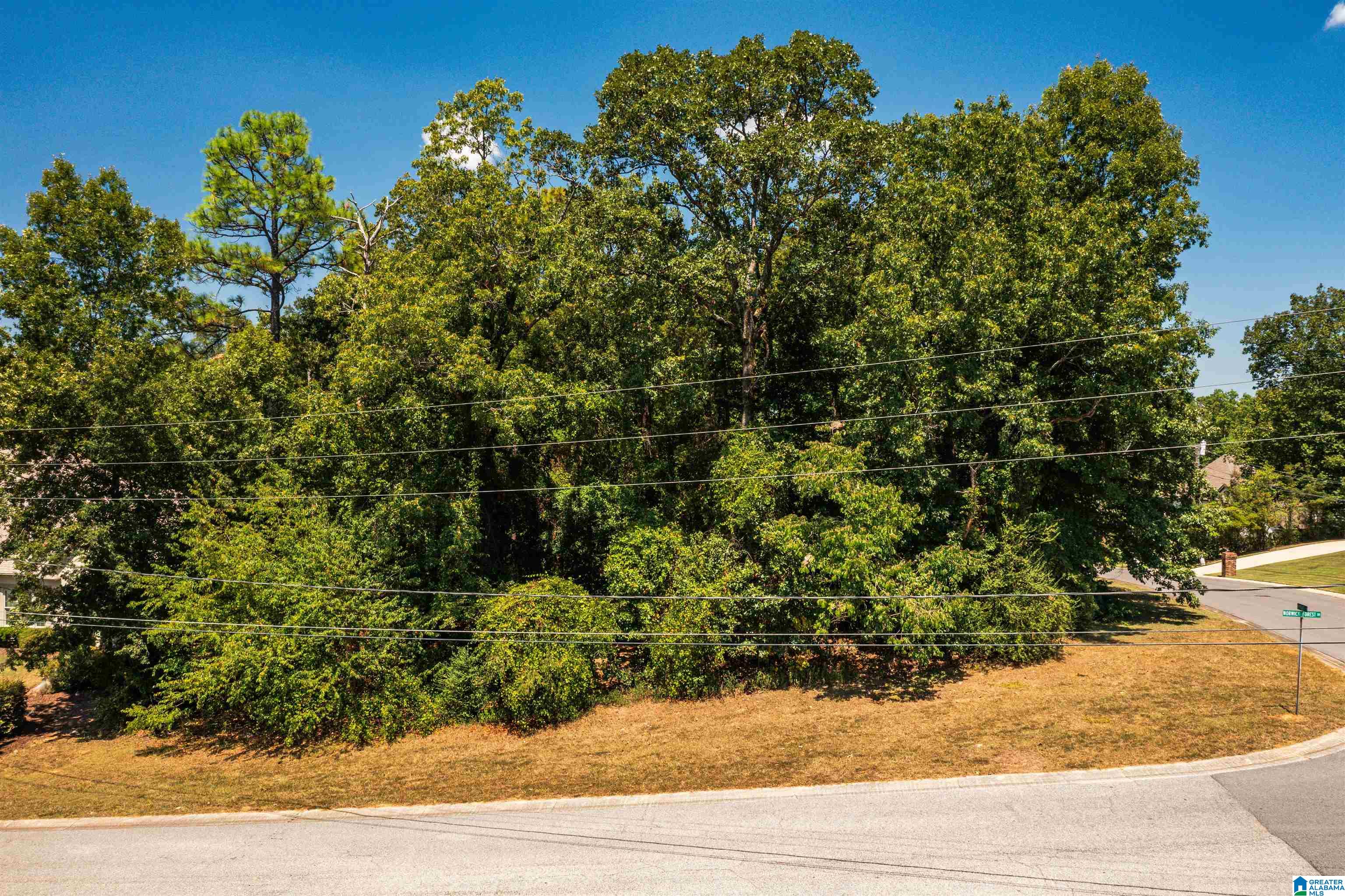 141 Newgate Road, Unit 141 Alabaster, AL 35007 - Photo 4 of 13