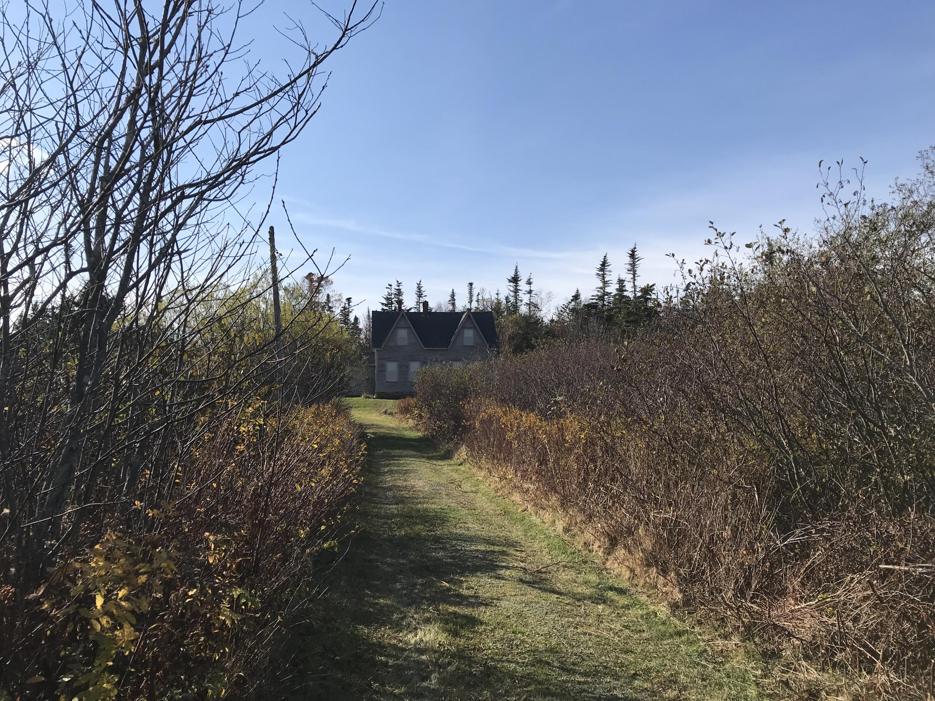 57 Carrying Place Cove Road Lubec, ME 04652 - Photo 2 of 74 IMG_4740