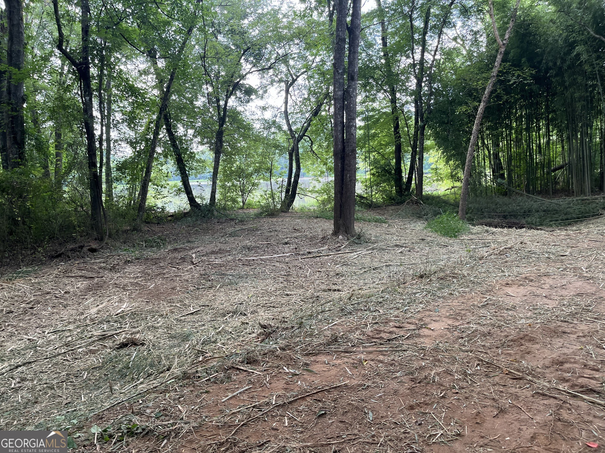 0 Sportsman Club Road Grantville, GA 30220 - Photo 12 of 46 a view of a forest with trees in the background