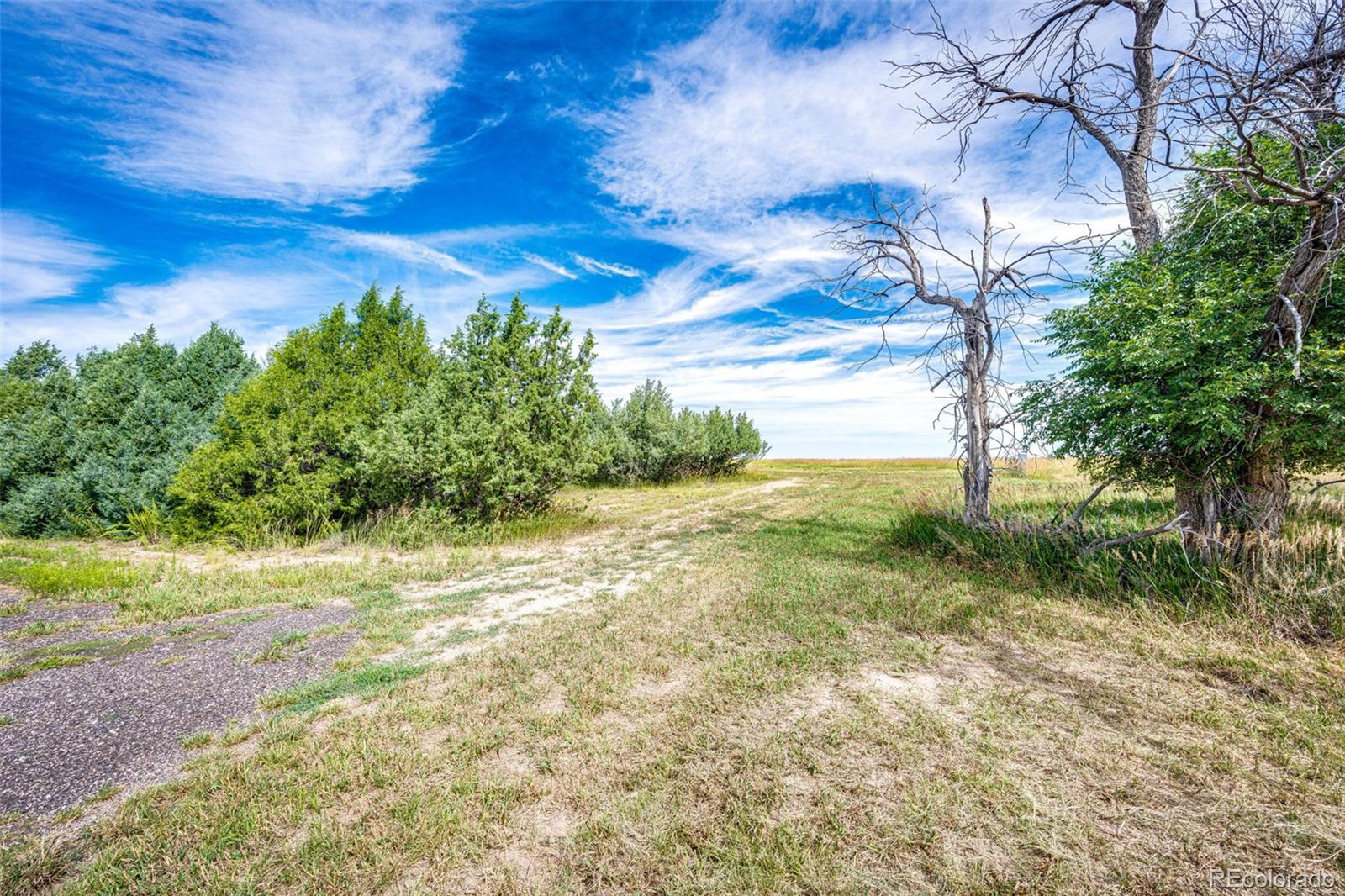 37615 Comanche Creek Road Kiowa, CO 80117 - Photo 41 of 48
