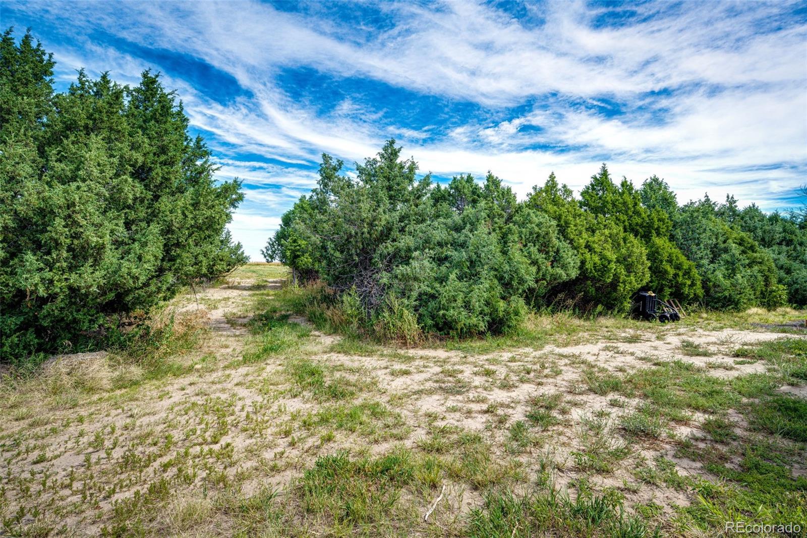 37615 Comanche Creek Road Kiowa, CO 80117 - Photo 42 of 48