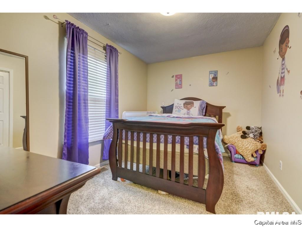 1604 Brenda Court Springfield, IL 62702 - Photo 14 of 22