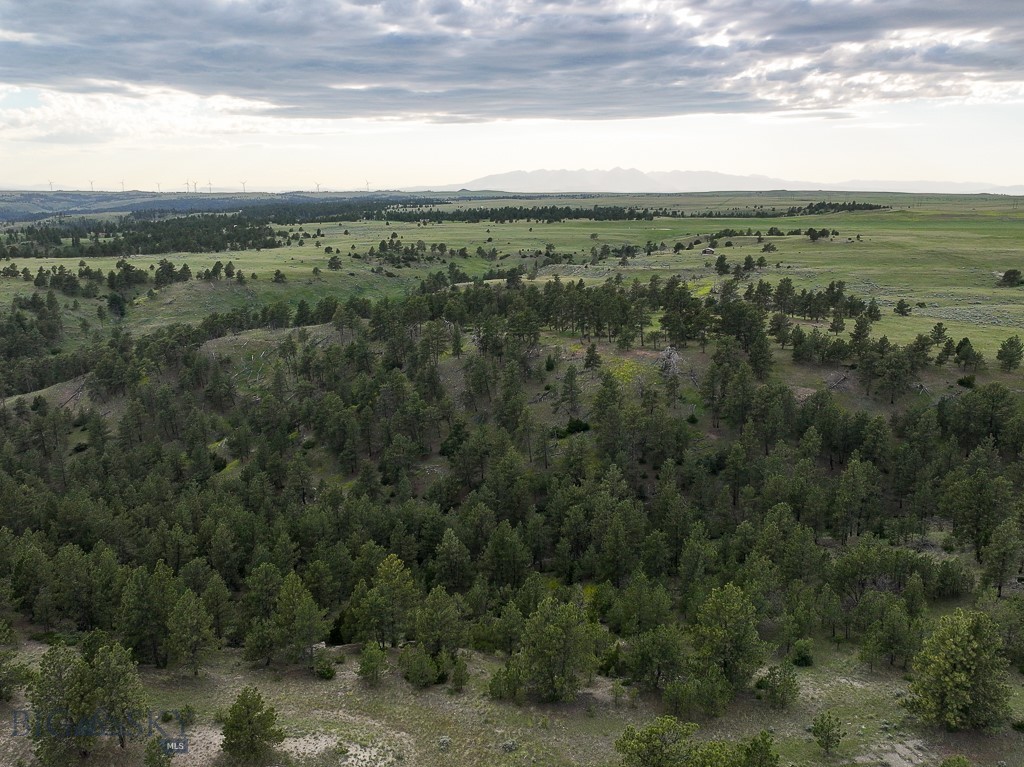 504 Stephens Hill Road Reed Point, MT 59069 - Photo 15 of 43 Gallery Image 15
