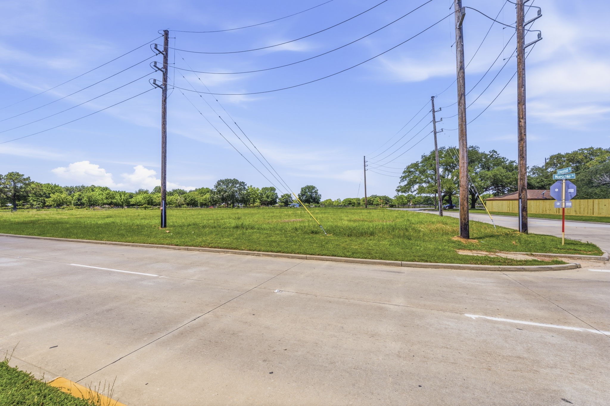 0 Mueschke Road Tomball, TX 77377 - Photo 7 of 44 a view of a road with a big yard and palm trees