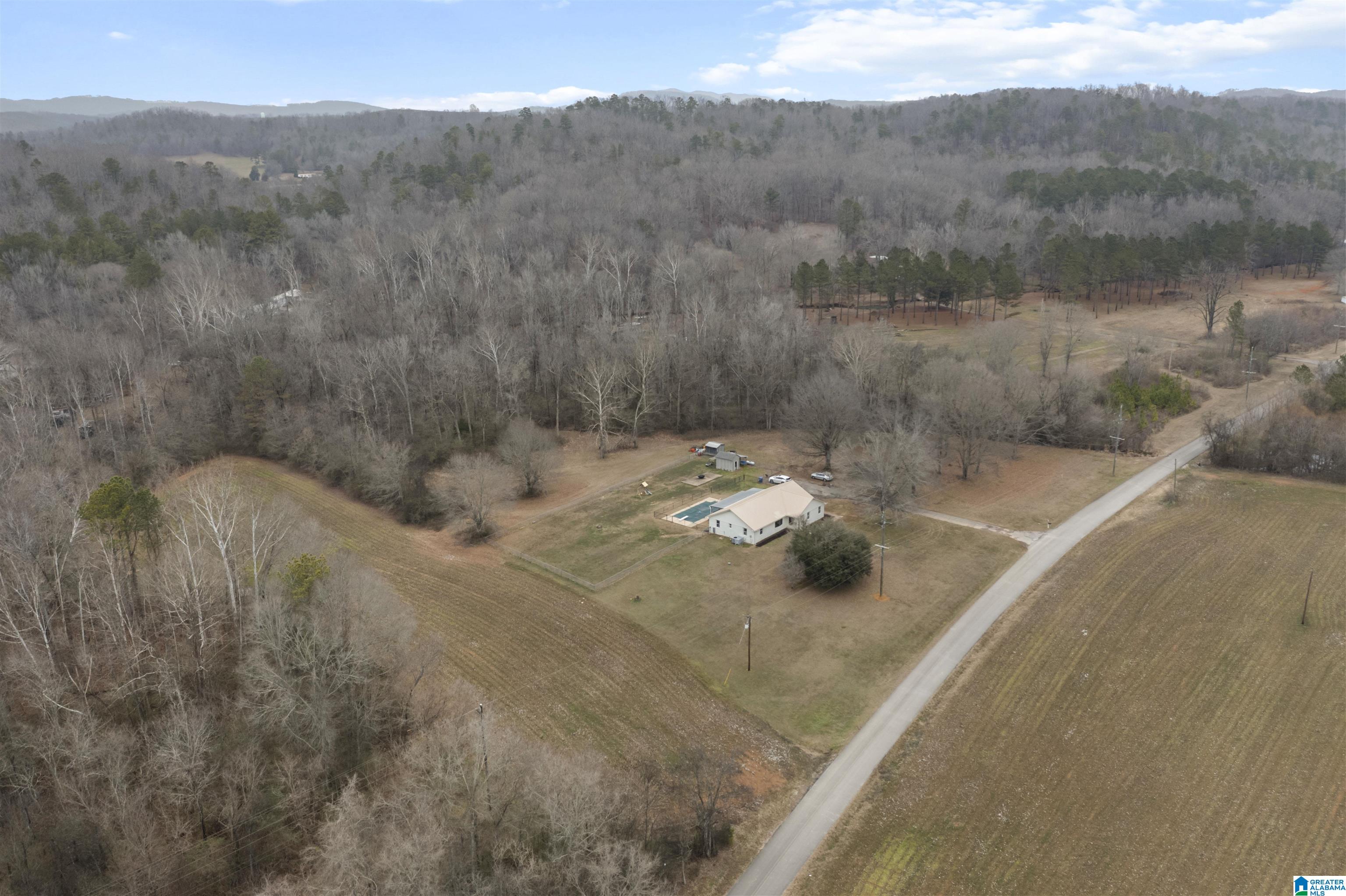 1695 Century Road Piedmont, AL 36272 - Photo 39 of 41 Gallery Image 39