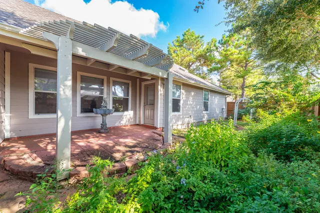a view of a backyard with plants