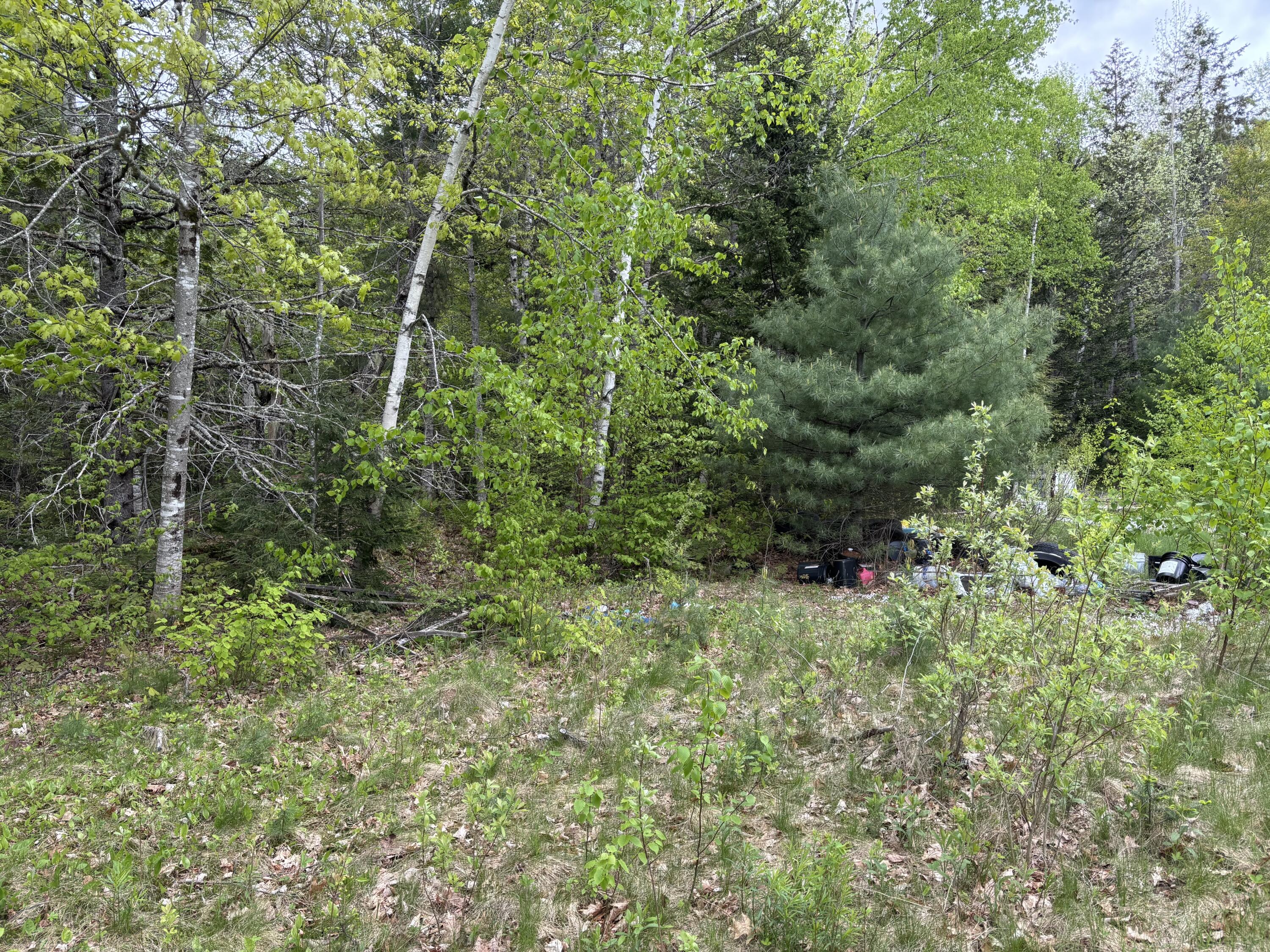 Lot# 4-7 Lot#4-7 Macomber Mill Road Eastbrook, ME 04634 - Photo 13 of 16 IMG_9744
