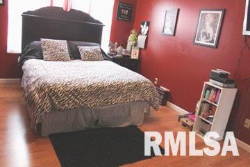 18054 Monroe Road Johnston City, IL 62951 - Photo 20 of 39 Gallery Image 20