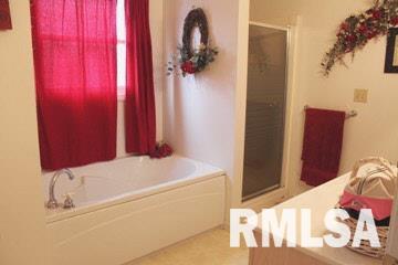 18054 Monroe Road Johnston City, IL 62951 - Photo 24 of 39 Gallery Image 24