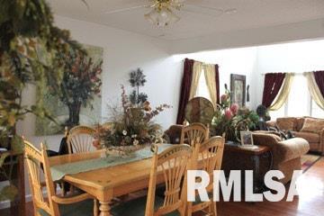 18054 Monroe Road Johnston City, IL 62951 - Photo 10 of 39 Gallery Image 10