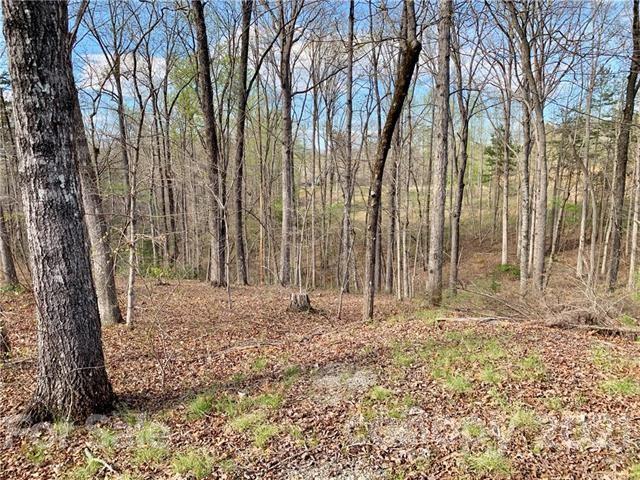 0 Peddlers Way Rutherfordton, NC 28139 - Photo 5 of 21 a backyard of a house with lots of green space