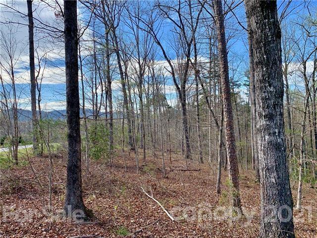 0 Peddlers Way Rutherfordton, NC 28139 - Photo 6 of 21 a view of a forest with a tree
